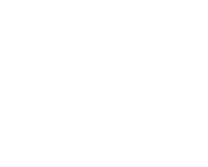 Client - Les Drones Lyonnais